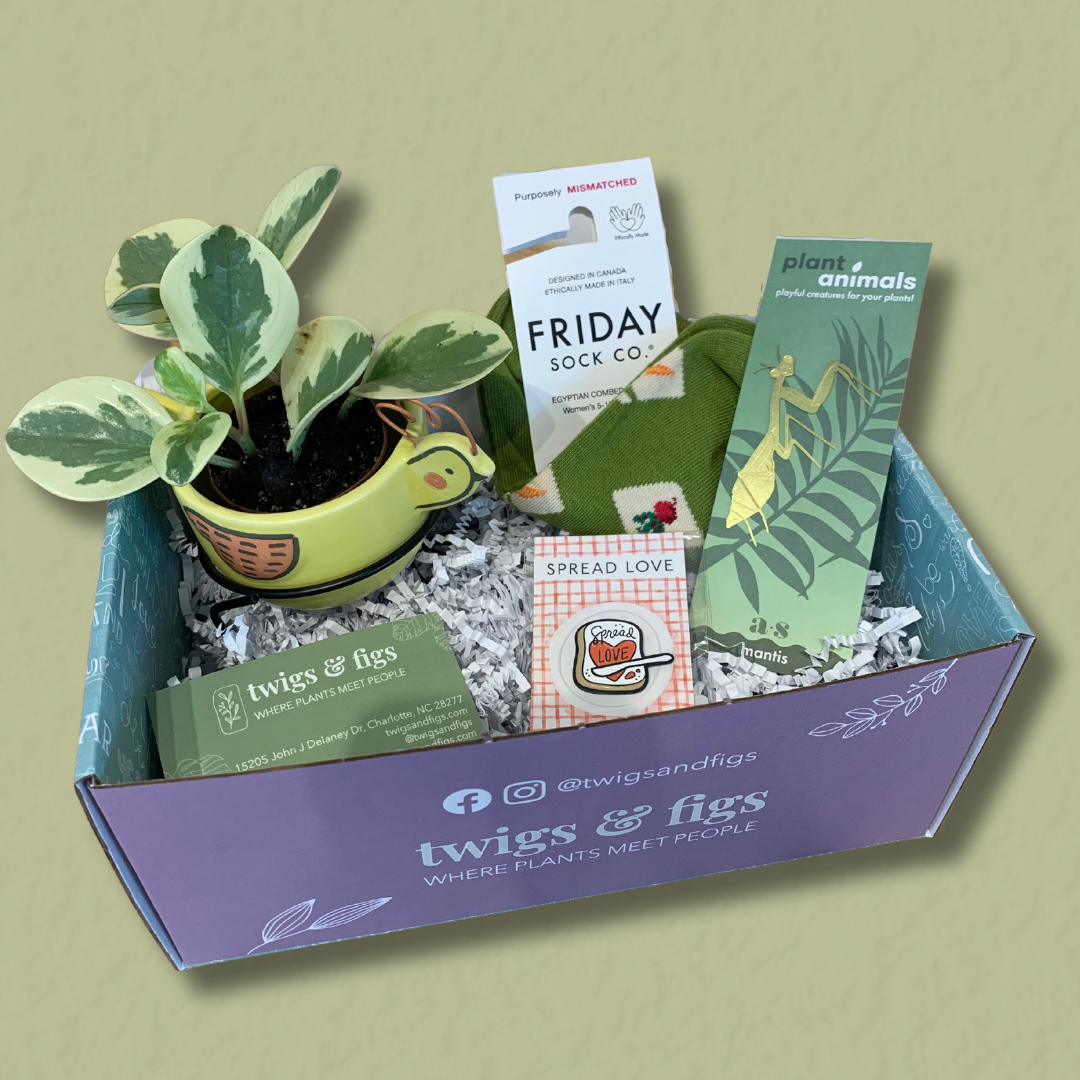 Happy Farm Life Curated Gift Box with Live Plant Twigs Figs
